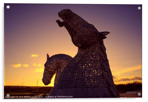 Kelpies as the sun sets Acrylic by Ann Biddlecombe
