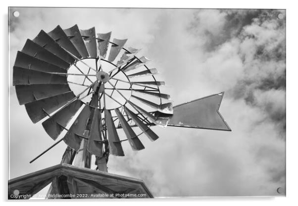 Windmill On The Promenade in monochrome Acrylic by Ann Biddlecombe