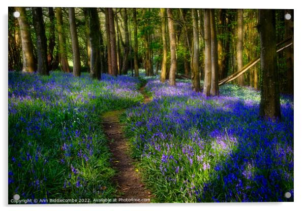 Follow the path through the bluebells Acrylic by Ann Biddlecombe