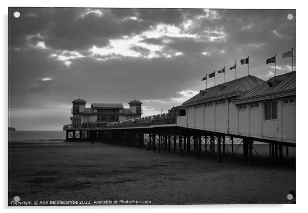 Weston-Super-Mare pier in black and white Acrylic by Ann Biddlecombe