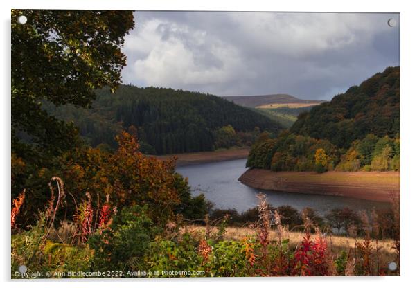 View of Ladybower Reservoir Acrylic by Ann Biddlecombe