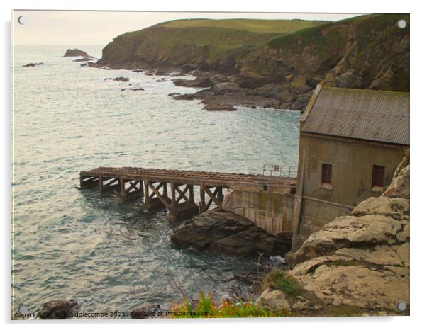 The old lifeboat station on the lizard peninsular  Acrylic by Ann Biddlecombe