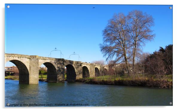 Bridge over the L'Aude River in France Acrylic by Ann Biddlecombe