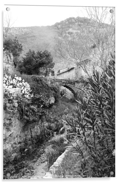A garden with a bridge over the stream in black and white Acrylic by Ann Biddlecombe