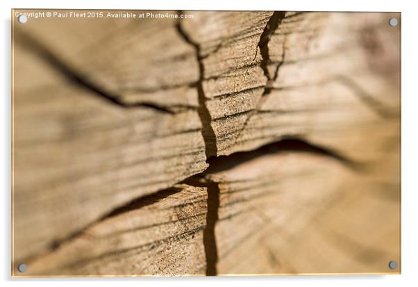 Wooden log Acrylic by Paul Fleet