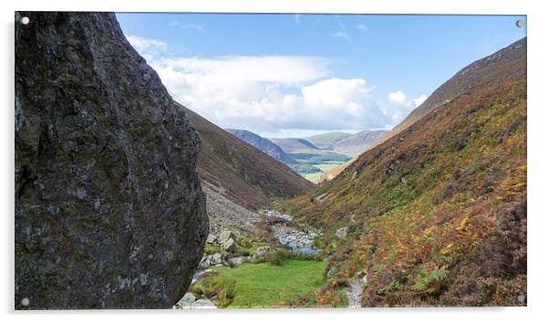  Down Gasgale Gill Towards Lanthwaite Green, Cumbr Acrylic by Steven Garratt