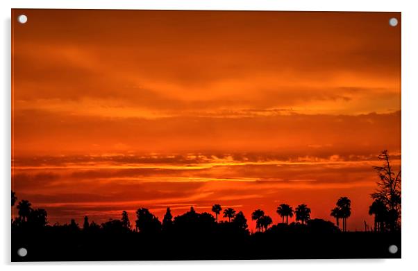 Marrakesh Sunset Acrylic by Peta Thames