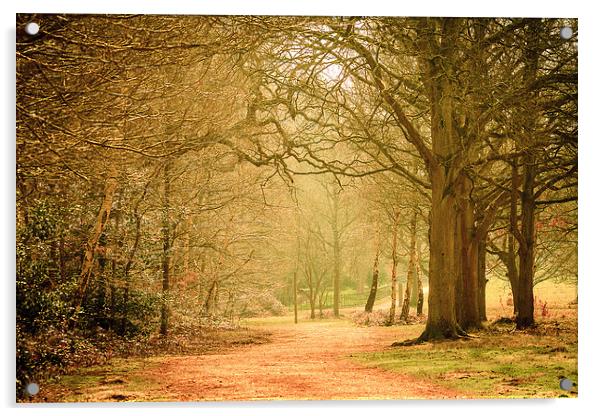  Langley Country Park. Acrylic by Peter Bunker