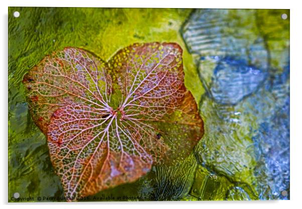 Iced Leaf. Acrylic by Peter Bunker