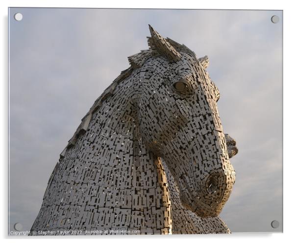 The Kelpies  Acrylic by Stephen Taylor