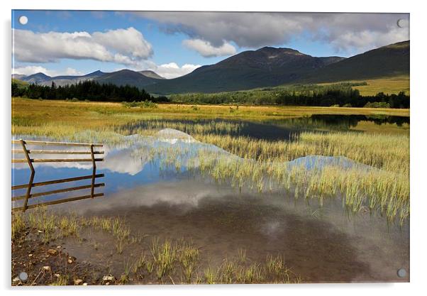Glen Orchy in summer  Acrylic by Stephen Taylor