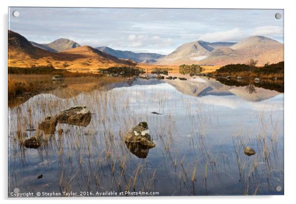 Autumn on Rannoch Moor Acrylic by Stephen Taylor