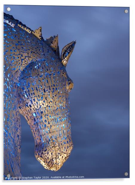 The Kelpies at dawn Acrylic by Stephen Taylor