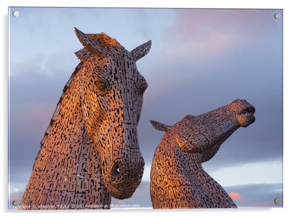 The Kelpies at Sunset Acrylic by Stephen Taylor