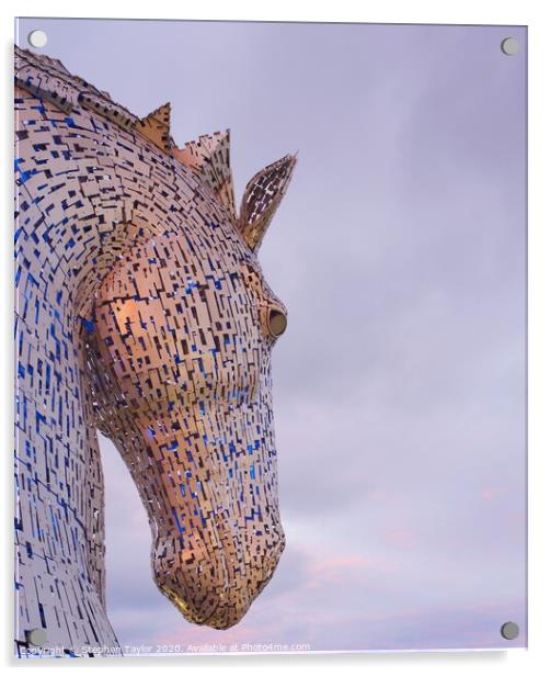 Kelpies at sunset Acrylic by Stephen Taylor