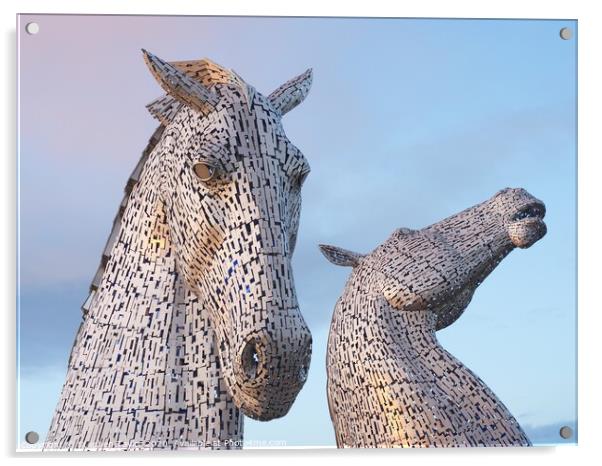 The Kelpies at sunset Acrylic by Stephen Taylor