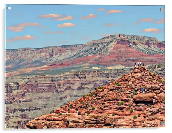  Grand Canyon Guano Point Acrylic by Andy Smith