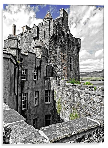Eilean Donan Castle Acrylic by Andy Smith