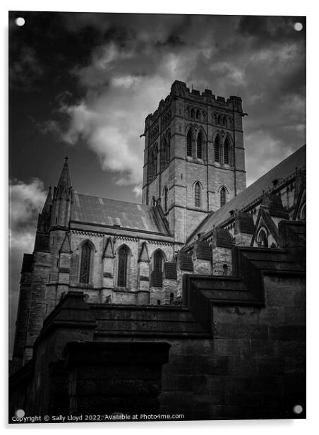 St John the Baptist Cathedral, Norwich Acrylic by Sally Lloyd