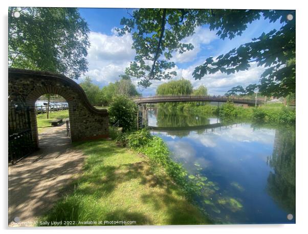 Jarrold Bridge o'er the Wensum, Norwich Acrylic by Sally Lloyd