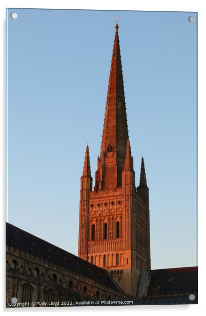 Norwich Cathedral Spire  - Red Sunset Acrylic by Sally Lloyd