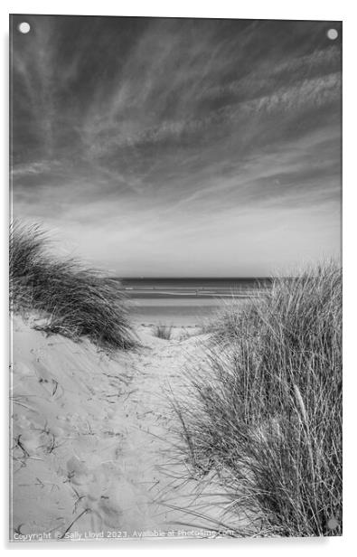 Through the Dunes at Holkham Beach, Norfolk Acrylic by Sally Lloyd