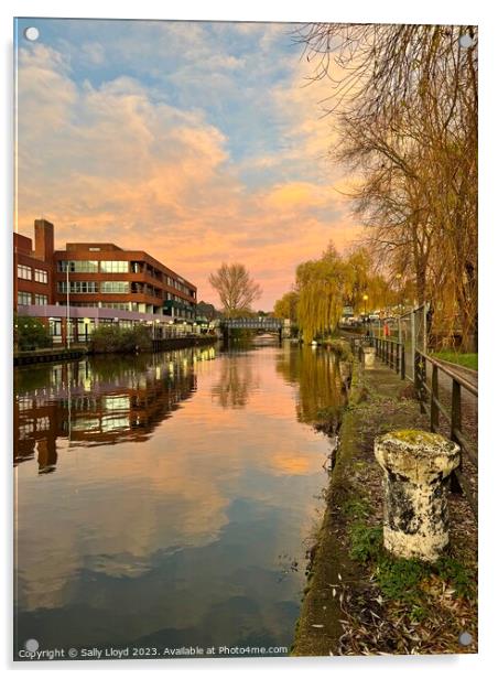 River Wensum Norwich towards Foundry Bridge Acrylic by Sally Lloyd