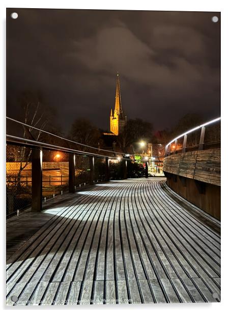 Norwich Cathedral from Jarrold Bridge at Night Acrylic by Sally Lloyd