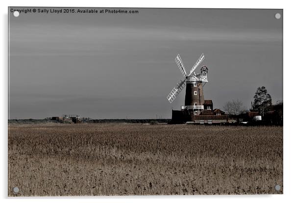  Cley Windmill north Norfolk  Acrylic by Sally Lloyd