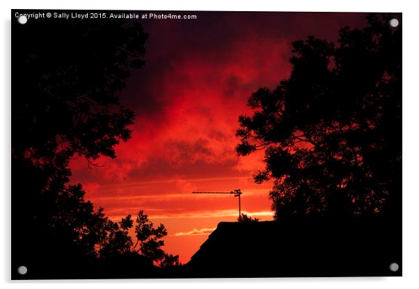  Flaming June Sunset Acrylic by Sally Lloyd