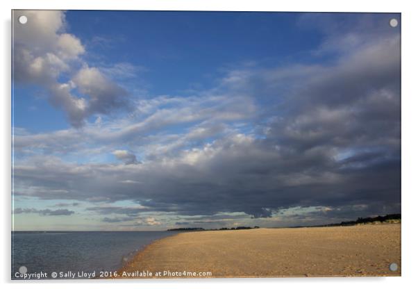 Last Light at Wells Acrylic by Sally Lloyd