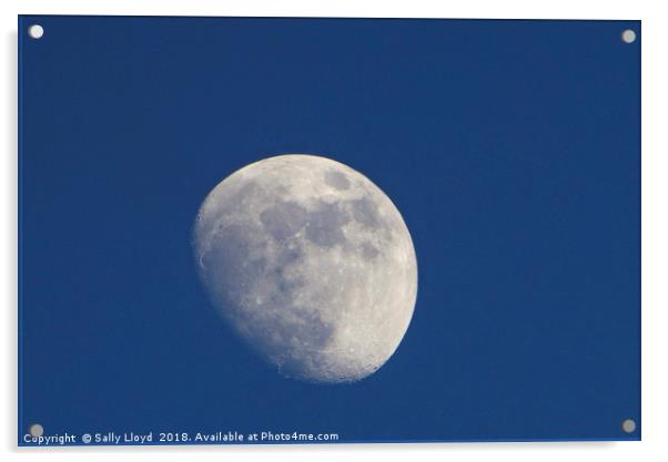 Silvery Winter Moon Acrylic by Sally Lloyd