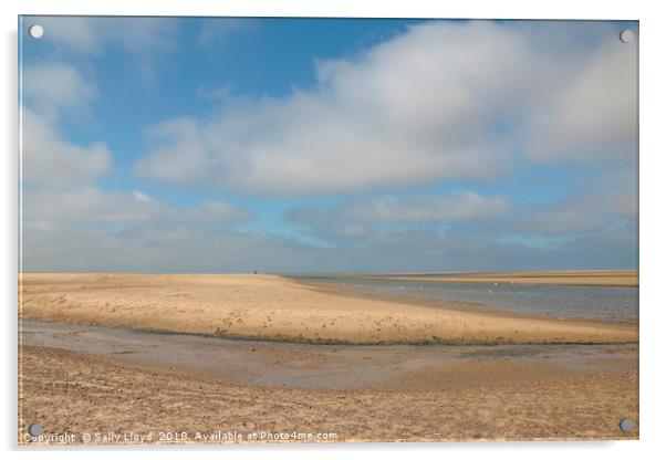 Pastel summer beach Acrylic by Sally Lloyd