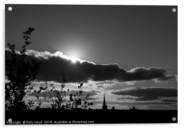 Norwich Cathedral Mono Sunset Acrylic by Sally Lloyd