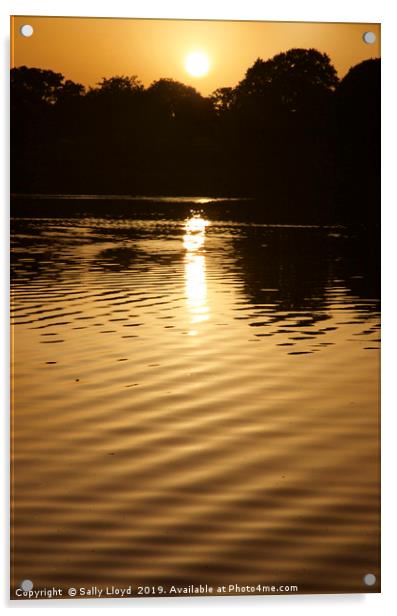 Golden Norfolk Broads Sunset Acrylic by Sally Lloyd