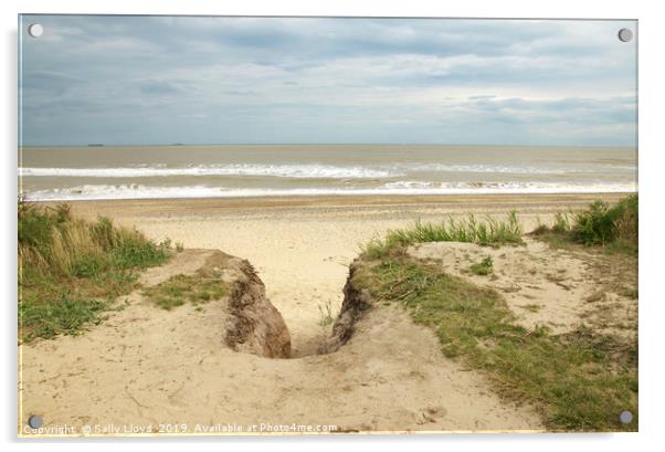 Looking out at Covehithe Acrylic by Sally Lloyd