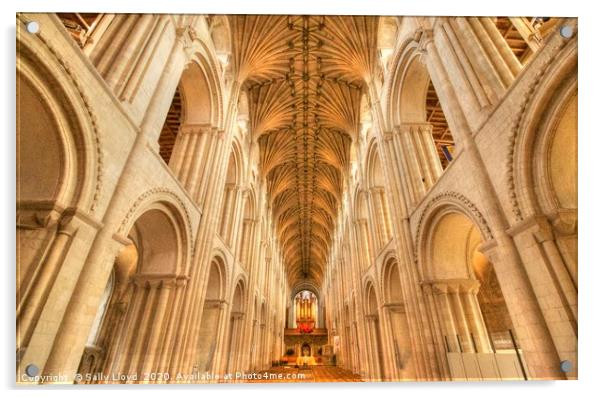 Norwich Cathedral  Acrylic by Sally Lloyd