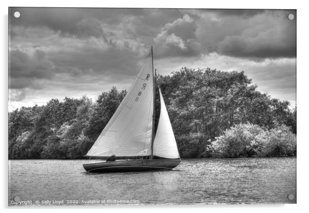 Sailing on the Bure, Norfolk UK Acrylic by Sally Lloyd