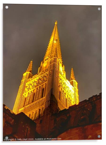Golden Wonder at Norwich Cathedral  Acrylic by Sally Lloyd