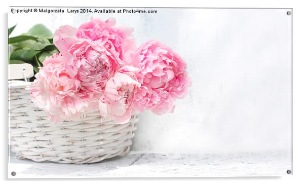 Beautiful soft pink peonies artistic still life Acrylic by Malgorzata Larys