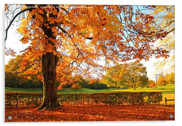 Beautiful, sunny Autumn in the park Acrylic by Malgorzata Larys
