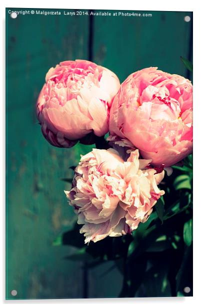 Beautiful pink peonies in dark Acrylic by Malgorzata Larys