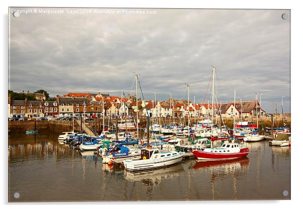 Anstruther, old fishing town in Scotland Acrylic by Malgorzata Larys