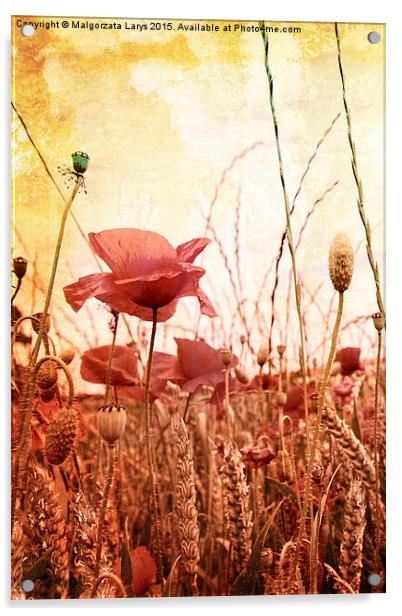 Beautiful grungy style poppies Acrylic by Malgorzata Larys