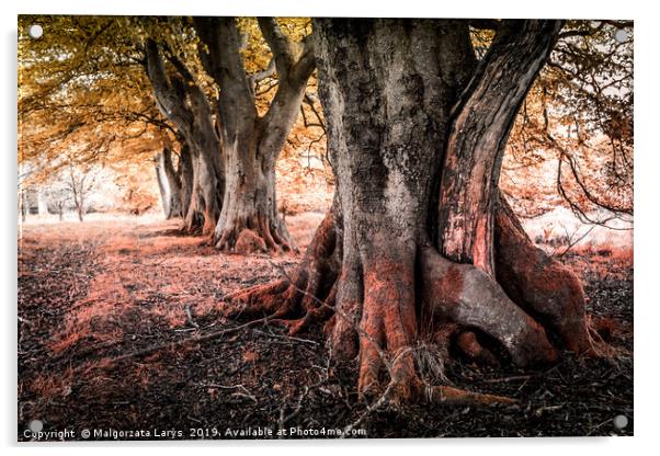 Amazing trees in the park of Scotland Acrylic by Malgorzata Larys