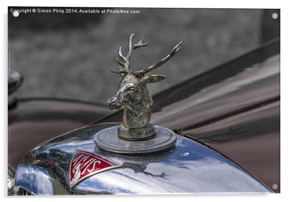 Unknown Alvis car with a Stag hood emblem Acrylic by Simon Philp