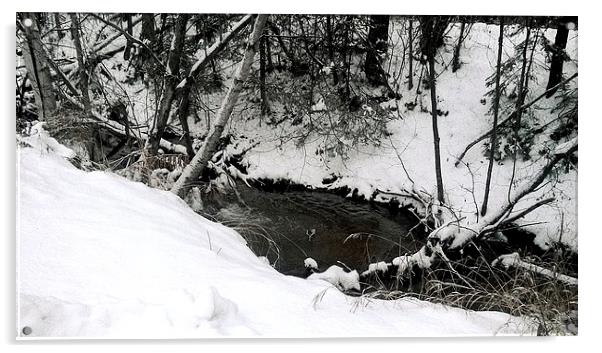  Alaska Winter Creek Acrylic by Erin Hayes