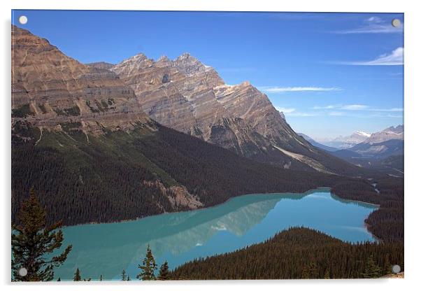  Peyto Lake Acrylic by Peter Ready