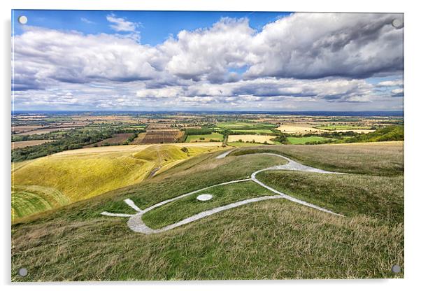  White Horse Acrylic by Mark Godden