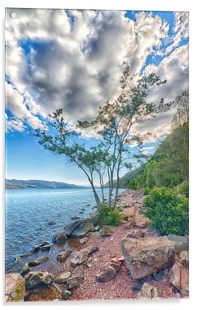  Tree at Loch Ness Acrylic by Mark Godden